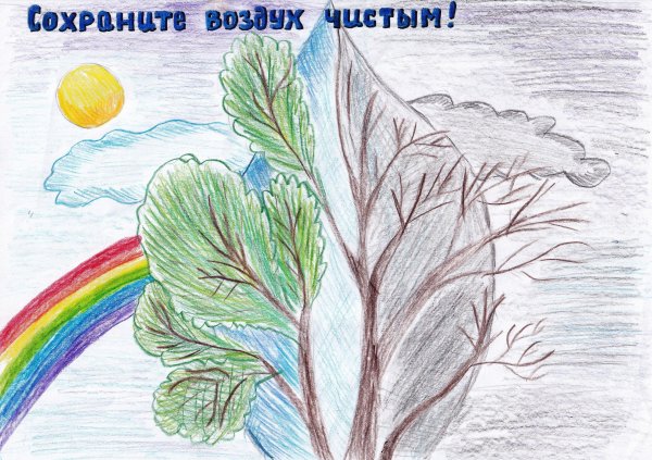 Плакат мы за чистый воздух