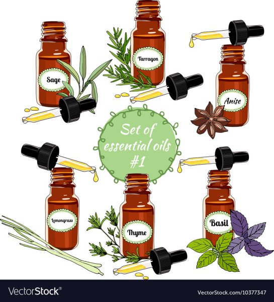 Логотипы обувных мастерских