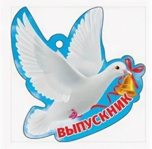 Голуби для детского сада