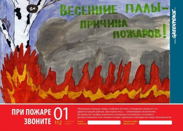 Плакат не жгите сухую траву