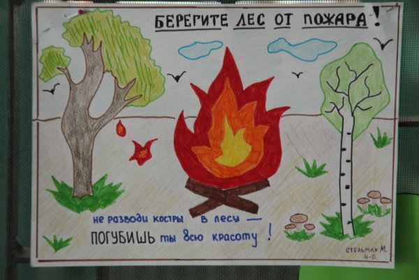 Памятка пожар в лесу