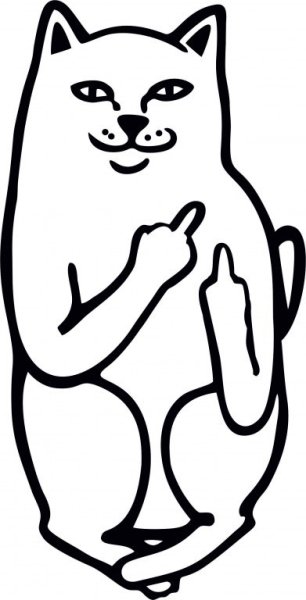 Кот показывающий средние пальцы