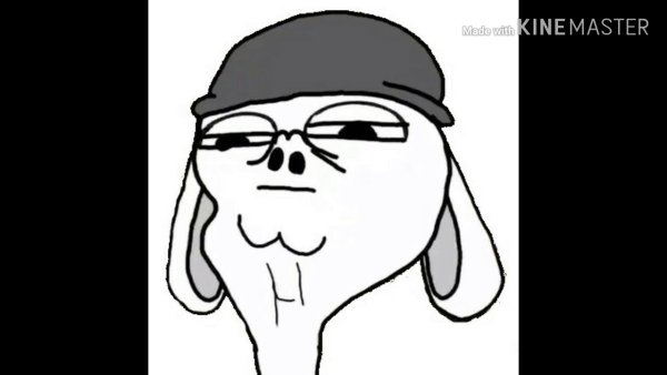 Мем пак МАРМОКА