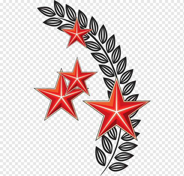 Звездочки ко Дню Победы