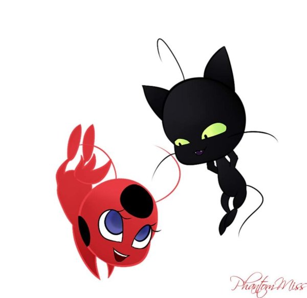 Леди баг и супер кот Чиби