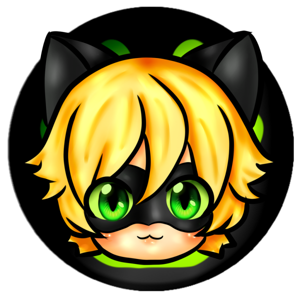 Тетрадь леди баг