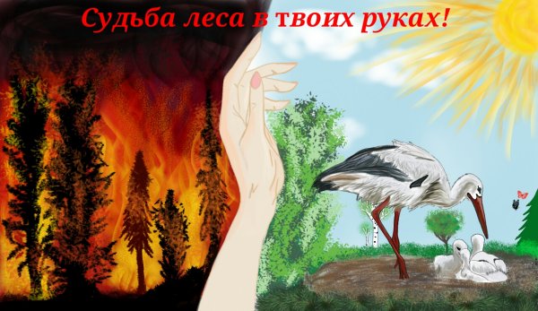 Берегите лес от пожара рисунки
