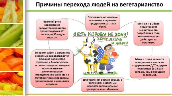 Причины перехода на Веге