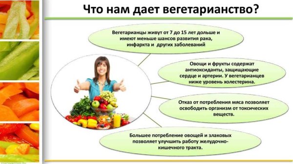 Вегетарианство рисунок