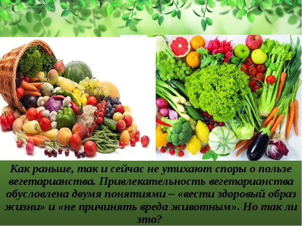 Презентация на тему вегетарианство за и против