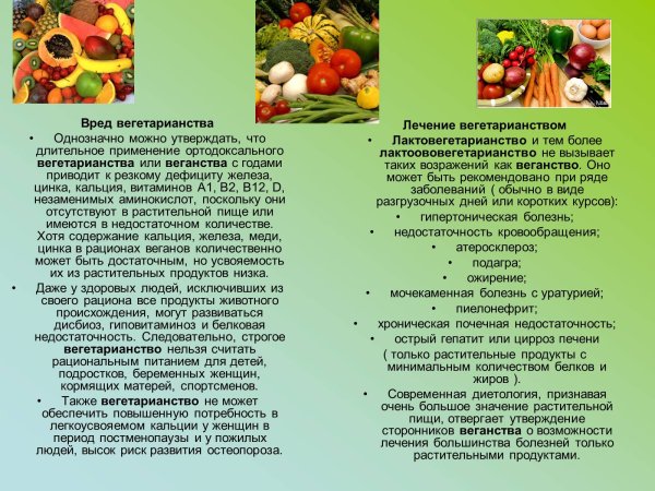 Понятие вегетарианства