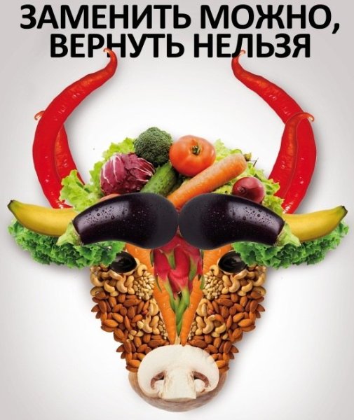 Рацион лакто ово вегетарианца