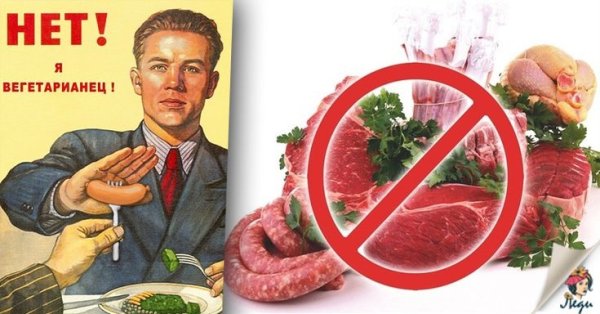 Здоровая и нездоровая еда