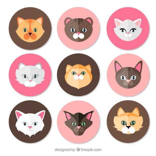 Мордочки Стикеры