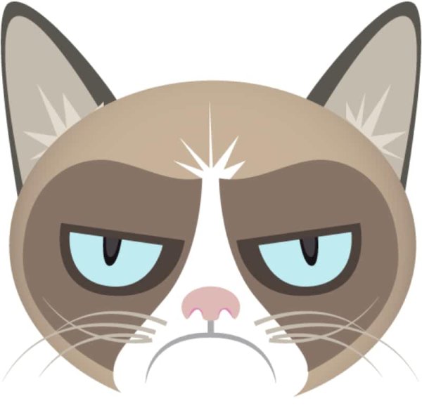 Наклейка морда кота