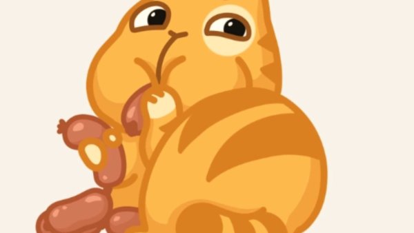 Стикеры ВК кот персик