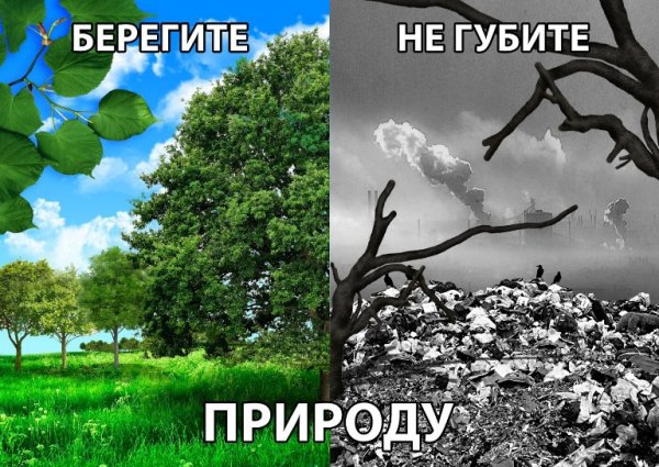 Рисунки на тему экология глазами детей