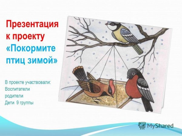 Рисунок Накорми птиц зимой