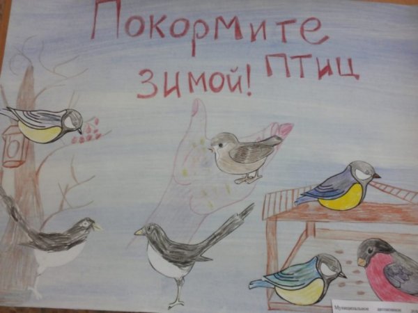 Конкурс рисунков Покорми птиц