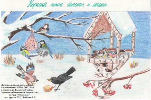 Забота о птицах зимой в детском саду