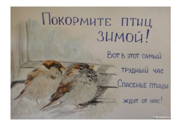 Листовка Покормите птиц