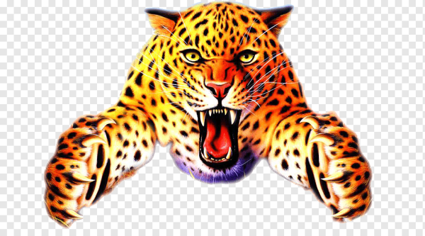 Гепард без фона