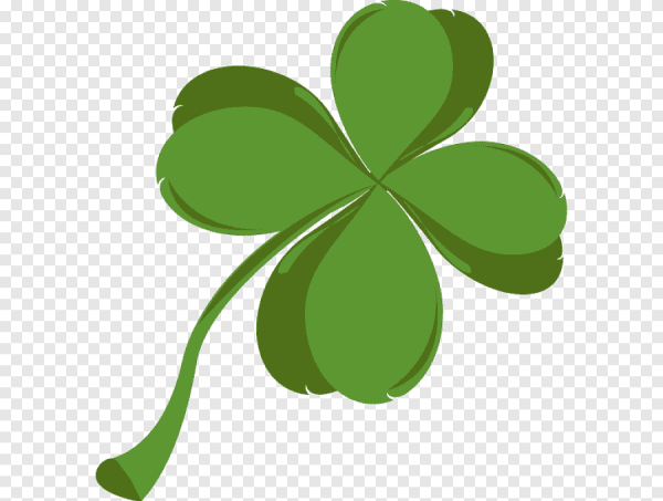 Клевер Шамрок Шемрок четырехлистный