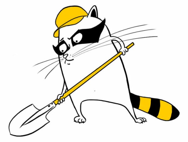 Енот с лопатой