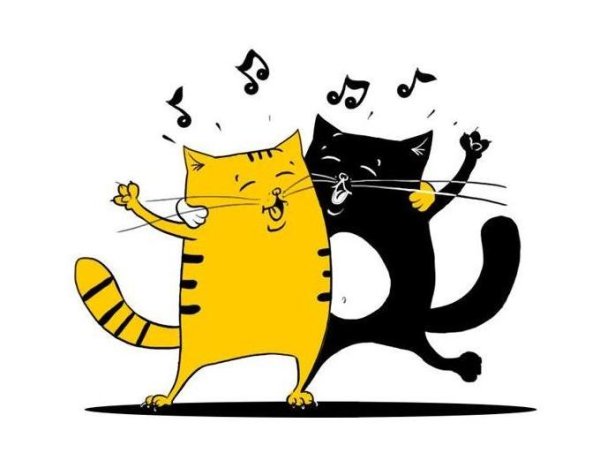 Билайн котик