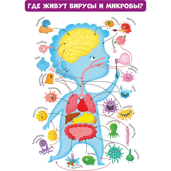 Вирусы и микробы. 10 Познавательных плакатов