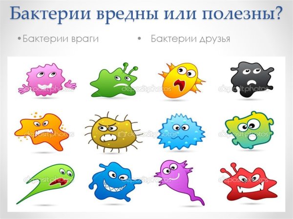 Полезные и вредные микрргрибы