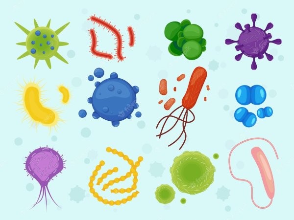 Микроорганизмы плакат