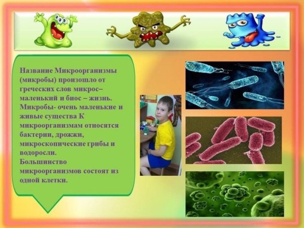 Презентация микробы для дошкольников