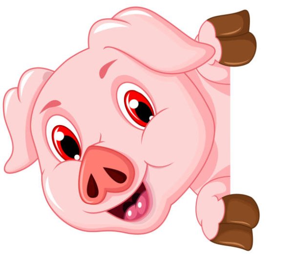 Морда свиньи для стикера