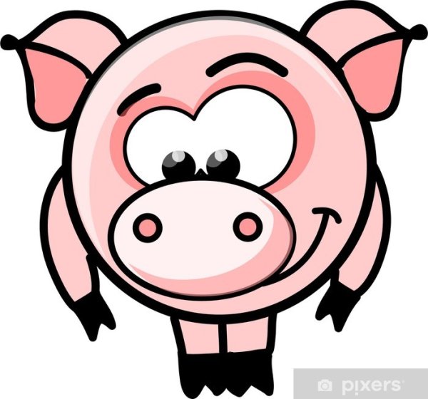 Свинка черно белая