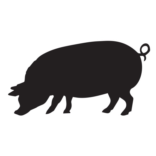 Морда свиньи вектор