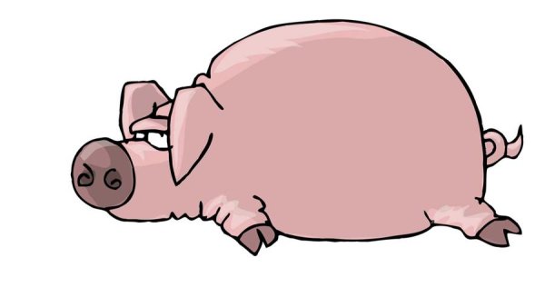 Поросенок логотип