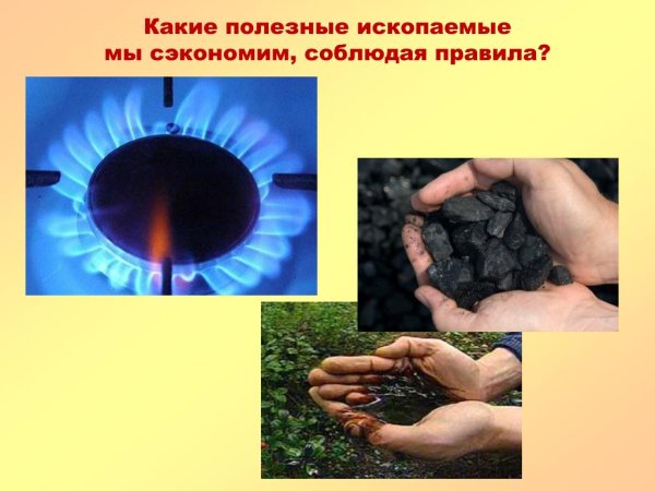 Охрана полезных ископаемых