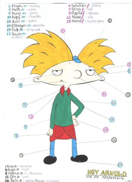 Части тела на немецком языке