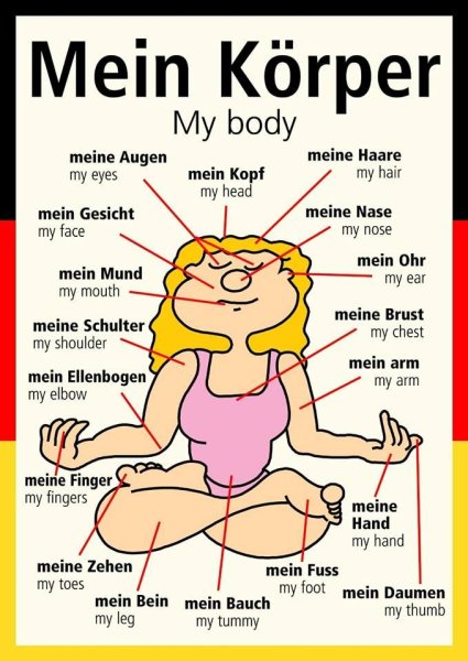 Части тела на немецком языке