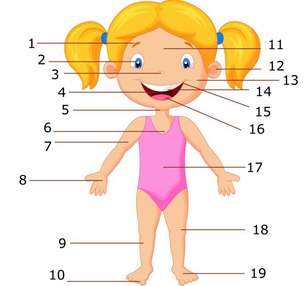 Человек чтобы подписать части тела