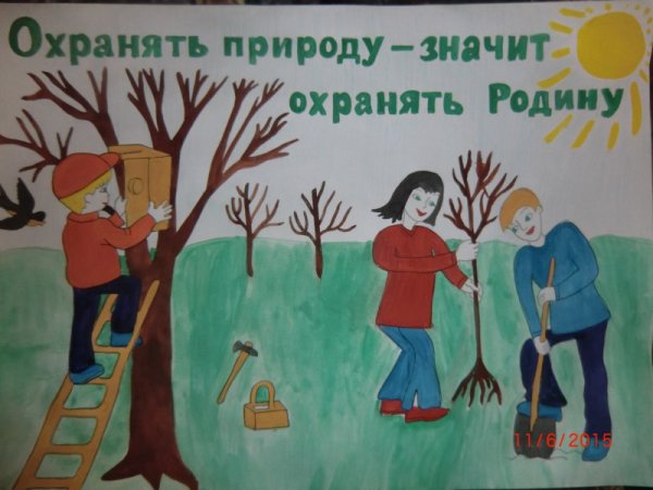 Плакат охраняй природу