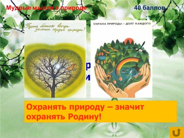 Экология рисунок