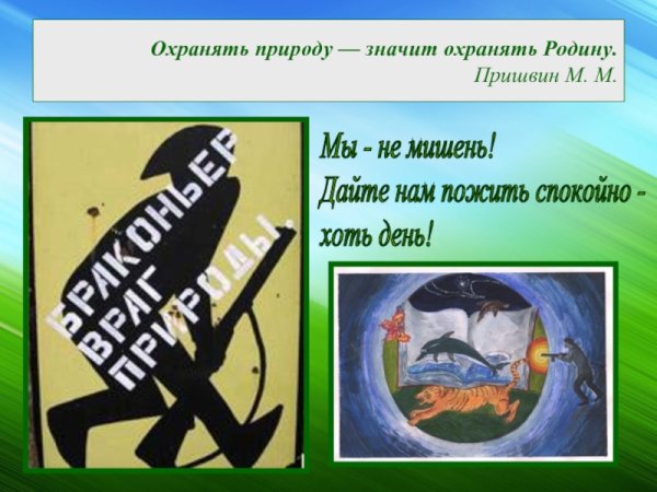 Сохранить природу значит сохранить родину