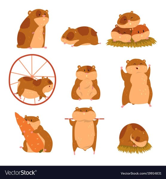 Хомяк стилизация