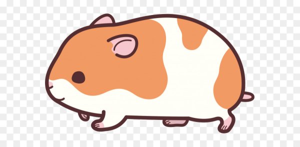 Кавайные хомячки