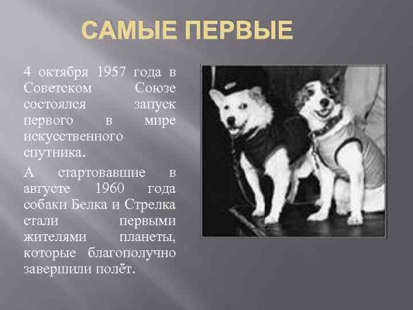 Страна открывшая путь в космос