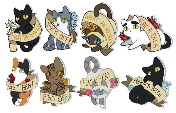 Кот выглядывает на белом фоне