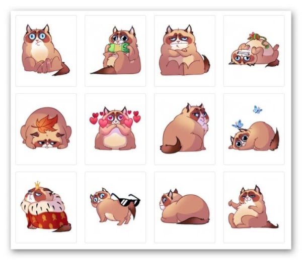 Наклейка - кот