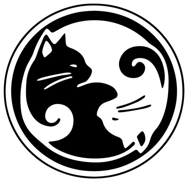 Котики Инь Янь